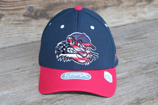 CapX - RailCats Swing Vortex