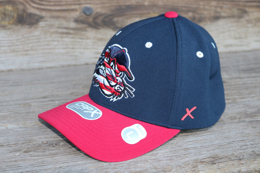 CapX - RailCats Swing Vortex