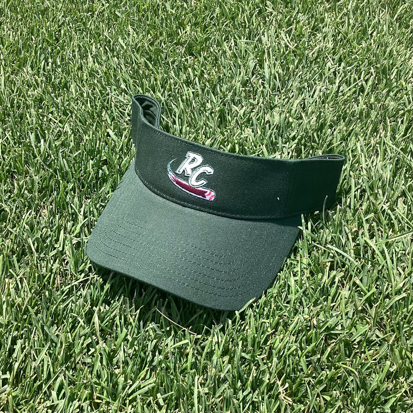 Visor