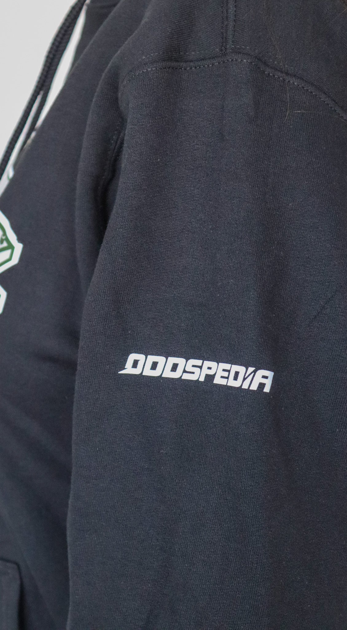 RailCats Logo Hoodie